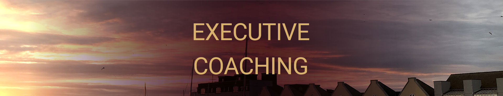 Executive Coaching