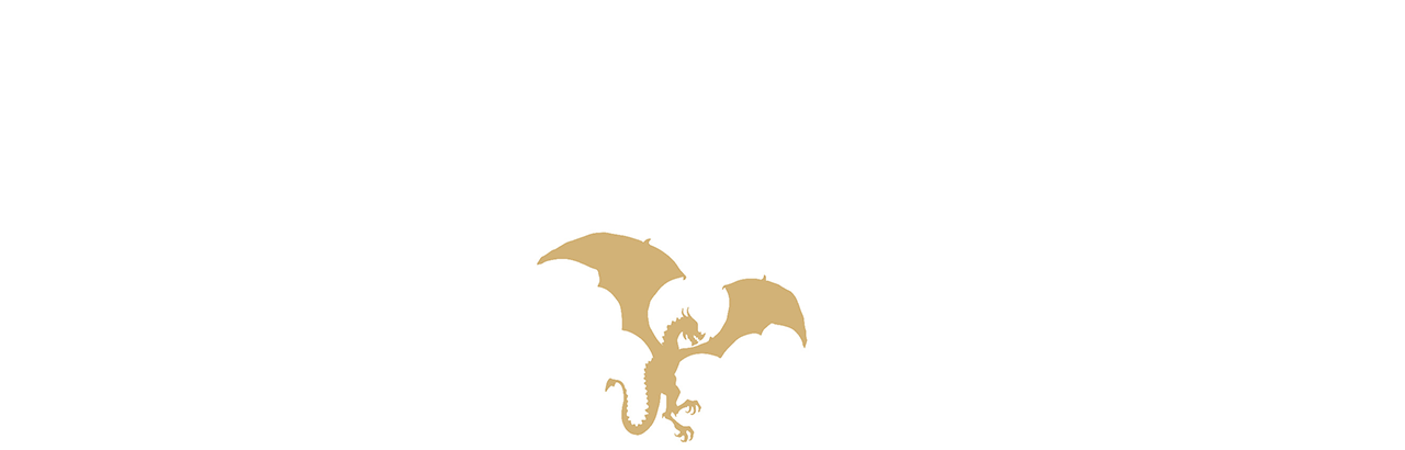 Solo to Solo Talks Dragon